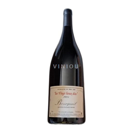 Valle della Loira Bourgueil Domaine Bel Air Les Vingt lieux dits 2023