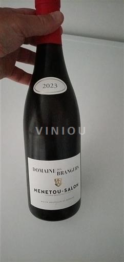 Dolina Loare Menetou-Salon Domaine des Brangers 2023