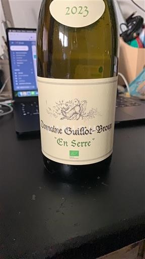 Burgundy Mâcon and Mâcon-Villages Domaine Guillot-Broux En Serre 2023