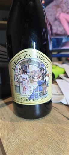 Valle della Loira Saumur-Champigny Domaine Des Galmoises Octavie 2018