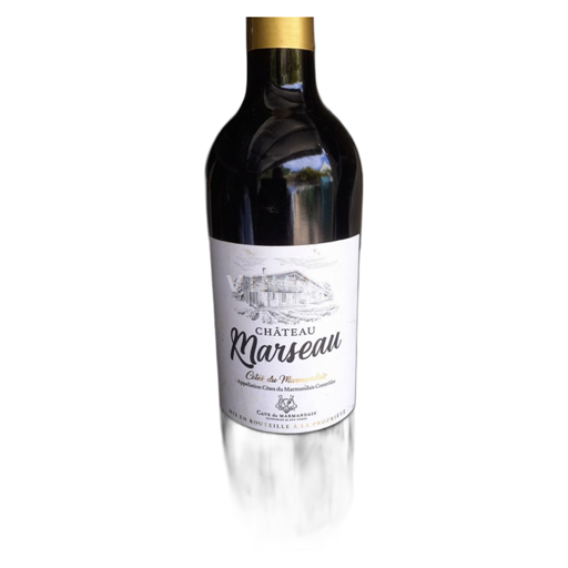 Sud-Ovest Côtes-du-marmandais Château Marseau 2016