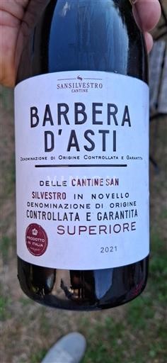 Piemonte Barbera d'Asti Sansilvestro 2021