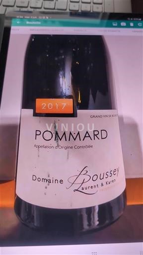 Bourgogne Pommard Domaine Boussey 2017