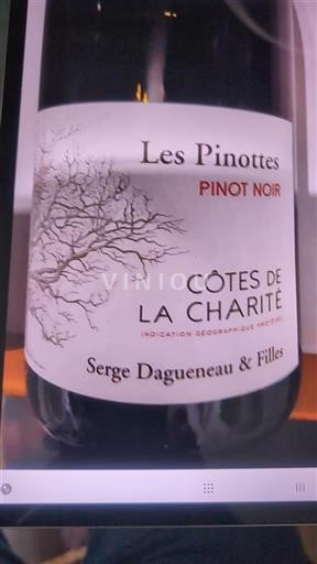 Loire-dalen Côtes de la Charité Serge Dagueneau & Filles Les Pinottes 2022
