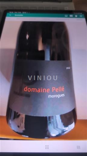 Loiredalen Menetou-Salon Domaine Pellé morogues 2022