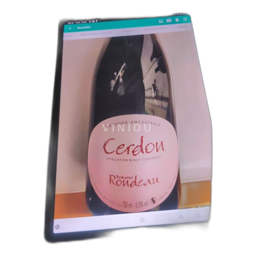 Savoie et Bugey Bugey Domaine Cerdon . Rondeau Non Millésimé