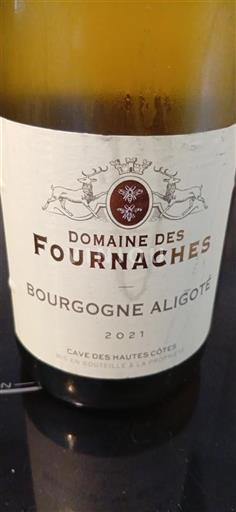 Bourgogne Bourgogne-aligoté Domaine Des Fournaches 2021