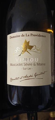 Valle della Loira Muscadet Sèvre et Maine Domaine La Providence 2017