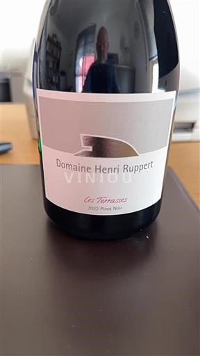 Moselle luxembourgeoise Schengen Domaine Henri Ruppert Les Terrasses - Coteaux de Schengen 2022