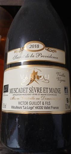 Valle della Loira Muscadet Sèvre et Maine Victor Guillot & Fils Secret de la Providence 2018