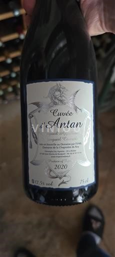 Loirevallei Bourgueil Domaine La Chopinière du Roy d'Antan 2020
