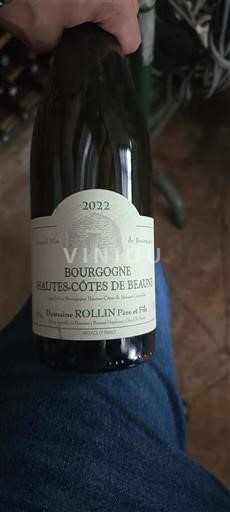 Burgundy Hautes-Côtes de Beaune Domaine Rollin Père et Fils 2022