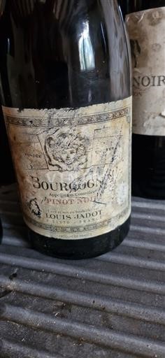 Burgundi Bourgogne Louis Jadot Ei vuosikertaa