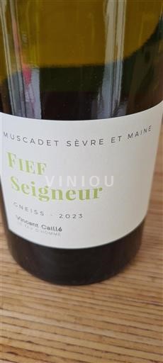 Valle della Loira Muscadet Sèvre et Maine Vincent Caillé Fief Seigneur 2023