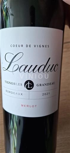 Vin Rouge sec Château Lauduc 2021 France Bordeaux