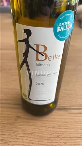 Sydväst Côtes-de-duras Domaine La Belle Belle Effrontée 2020