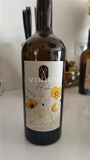 Languedoc-Roussillon Saint-Guilhem-le-Désert Domaine L'Evohé Bouton d'or 2024