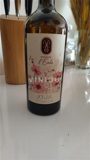 Languedoc-Roussillon Saint-Guilhem-le-Désert Domaine L'Evohé Dahlia 2023