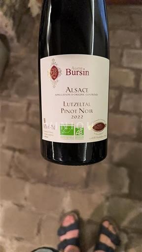 Alsace Agathe Bursin Lutzeltal Pinot Noir 2022