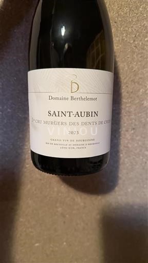 Bourgogne Saint-Aubin Premier Cru Domaine Berthelemot 1er Cru Murgers des Dents de Chien 2023