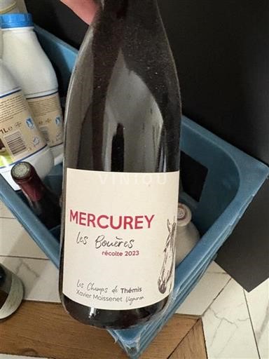 Borgogna Mercurey Les Champs de Thémis Les Bouères 2023