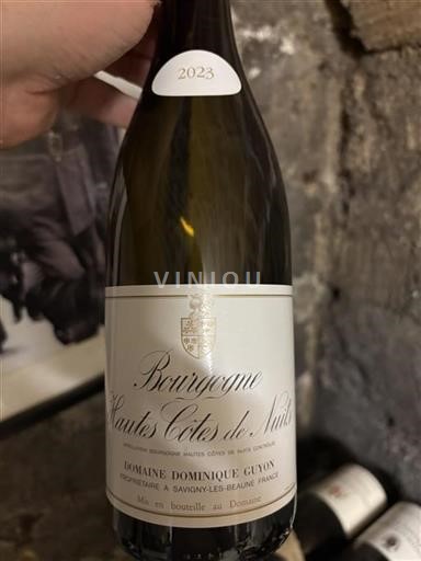 Borgogna Hautes Côtes de Nuits Domaine Dominique Guyon 2023