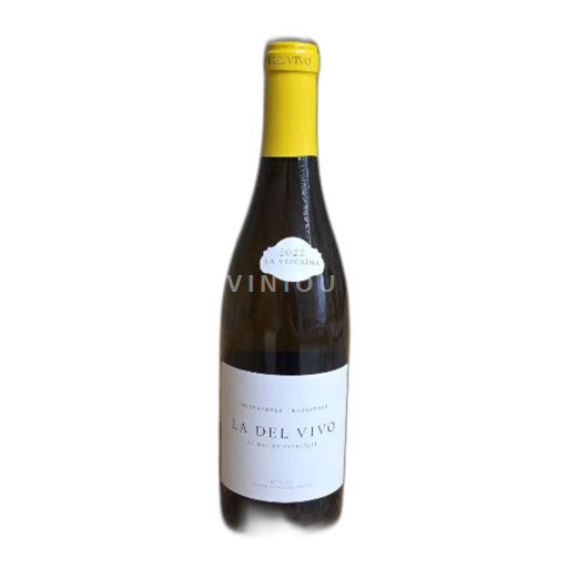 Castile and León Bierzo Bodegas y Viñedos Raúl Pérez La del Vivo 2022