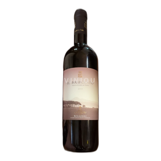 Toscana Il Bruciato 2019 2019