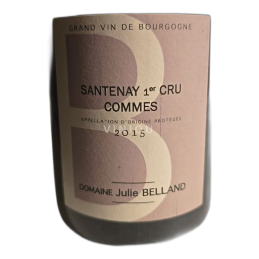 Bourgogne Santenay Premier Cru Domaine Julie Belland 2015