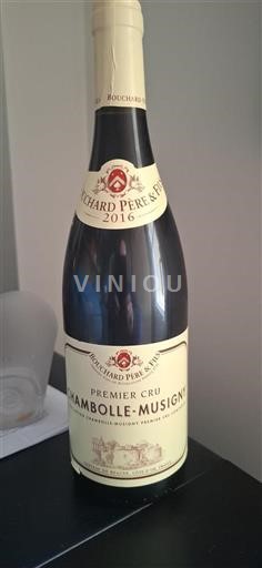 Borgogna Chambolle-Musigny Premier Cru Bouchard Père & Fils 2016