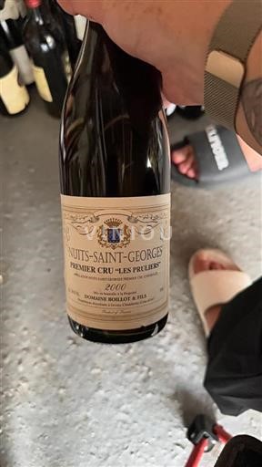 Bourgondië Nuits-saint-georges Premier Cru Domaine Boillot & Fils Les Pruliers 2000