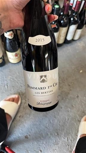 Bourgogne Pommard Premier Cru Domaine Henri Delagrange Les Bertins 2015