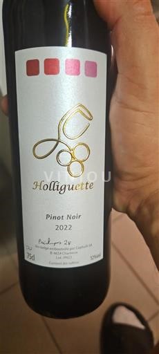 Vin Rouge sec Holliguette 2022 Belgique Liège Vins de Liège