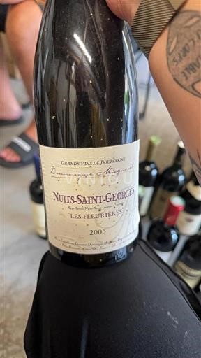Bourgogne Nuits-saint-georges Domaine Dominique Mugneret Les Fleurières 2005