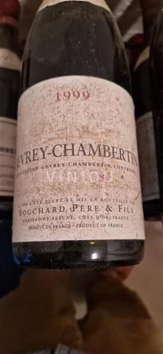 Borgogna Gevrey-Chambertin Bouchard Père & Fils 1999