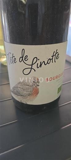 Valle del Loira Bourgueil Tête de Linotte 2015