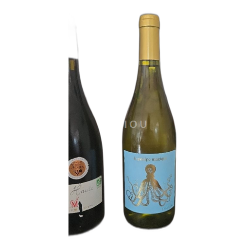 South West Côtes du Tarn Famille ARBEAU 2023 2023