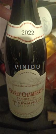 Burgundy Gevrey-Chambertin Premier Cru Les Champeaux 2022