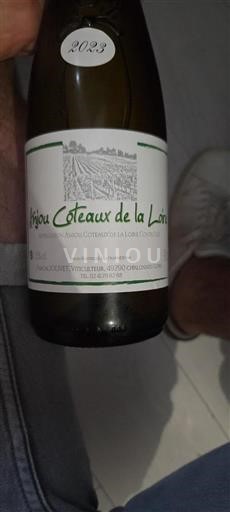 Valle della Loira Anjou Coteaux della Loira Pascal Jolivet 2023
