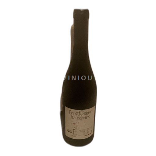 Languedoc Carthagène Domaine Petit oratoire En attendant les copains 2021