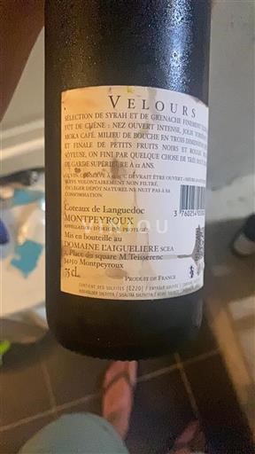 Languedoque Não especificado Domaine L'Aiguelière Velours 2013