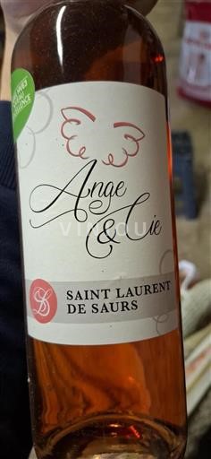 Sydvestfrankrig Ikke specificeret Saint Laurent de Saurs Ange & Cie Ikke årgangsbestemt