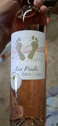 Sydvestfrankrig Côtes de Gascogne Domaine La Grave Les Pieds dans l'eau Ikke årgangsbestemt