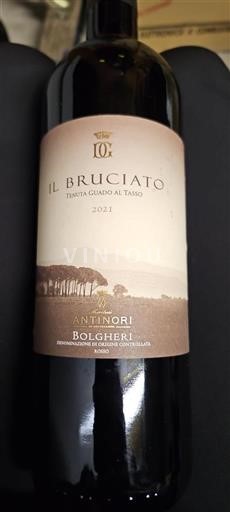 Toscana Bolgheri Tenuta Guado al Tasso Il Bruciato 2021