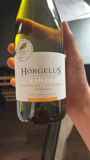 Sud-Ovest Côtes de Gascogne Horgelus Famille Le Menn 2024