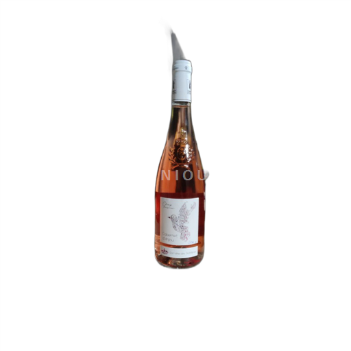 Valle della Loira Cabernet d'Anjou Domaine Des Trottières Champ d'oiseaux 2023