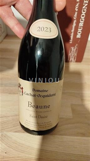 Burgundy Beaune Domaine Cachat-Ocquidant Saint Désiré 2023