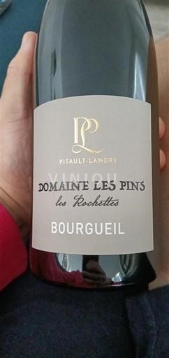 Loire Valley Bourgueil Domaine Les Pins Les Rochettes 2021