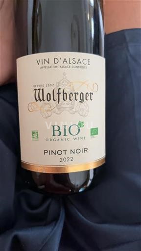 Alzacija Wolfberger Pinot Noir 2022