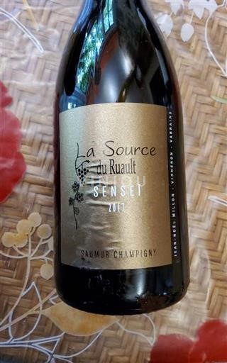 Valle della Loira Saumur-Champigny La Source du Ruault Sensei 2017